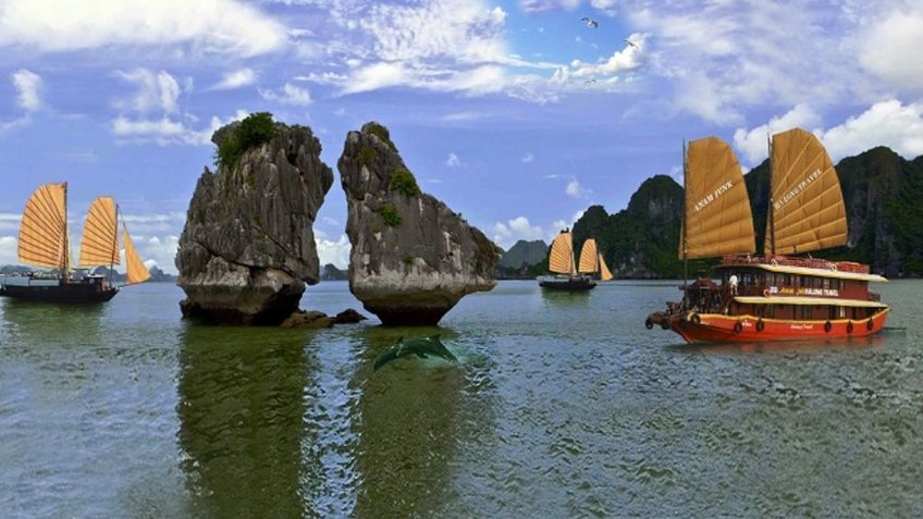 Tour Hạ Long 2 Ngày 1 Đêm Từ Hà Nội | Khám Phá Vịnh Hạ Long, Đảo Titop