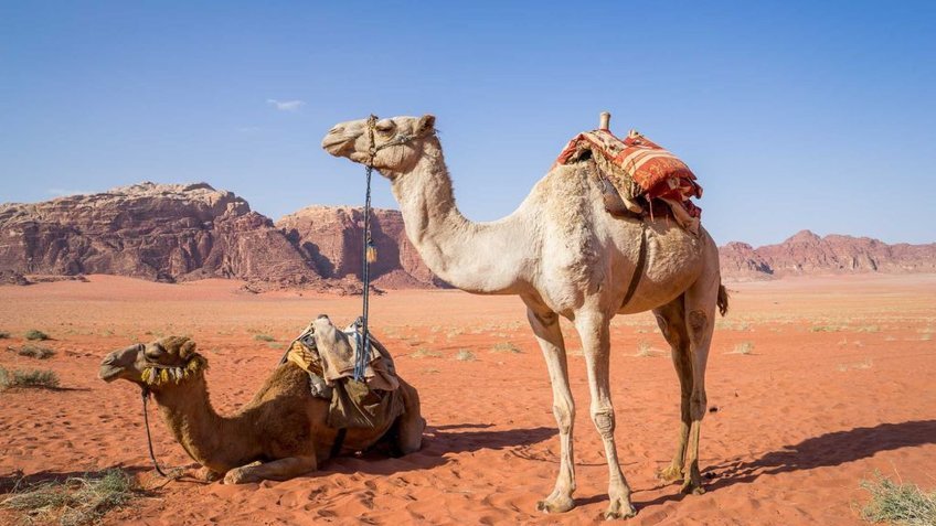 Du lịch Jordan - Ai Cập 12N11Đ: Du thuyền 5 sao tại sông Nile