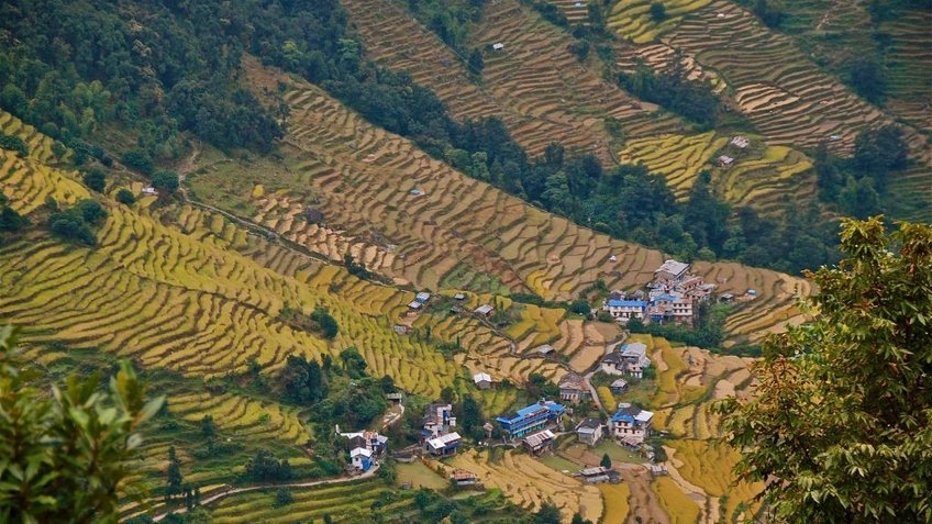 Tour Nepal 10 Ngày 9 Đêm Trekking Himalaya | Chinh Phục Poon Hill & Annapurna