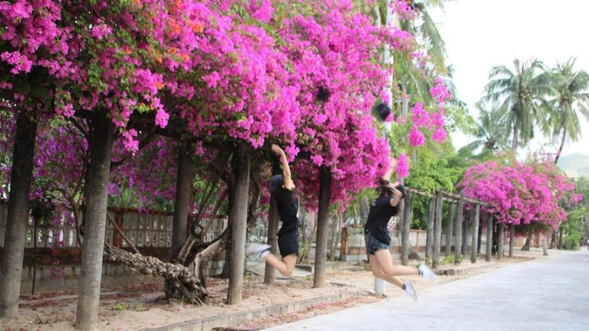 Tour Quy Nhơn Phú Yên 4 Ngày 3 Đêm | Khám Phá Kỳ Co - Eo Gió - Ghềnh Đá Đĩa