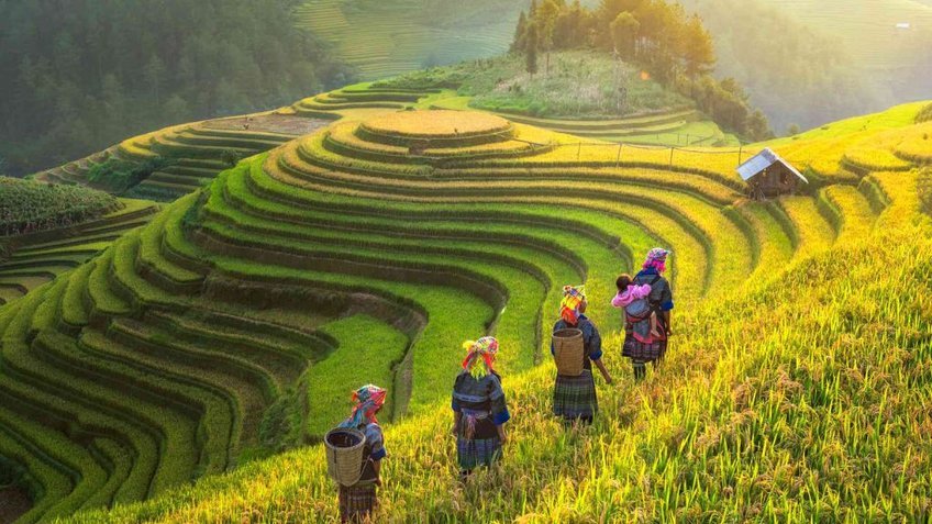 Du Lịch Sapa: Hà Nội - Bản Cát Cát - Hàm Rồng - Fansipan 3N2Đ