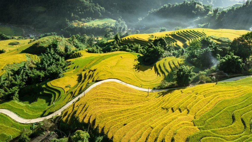 Du Lịch Sapa: Hà Nội - Bản Cát Cát - Hàm Rồng - Fansipan 3N2Đ