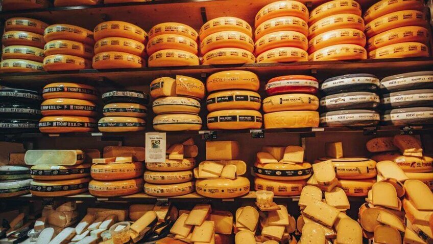 Tour Tây Âu 9N8Đ Pháp - Bỉ - Hà Lan - Đức | Bay thẳng Vietnam Airlines