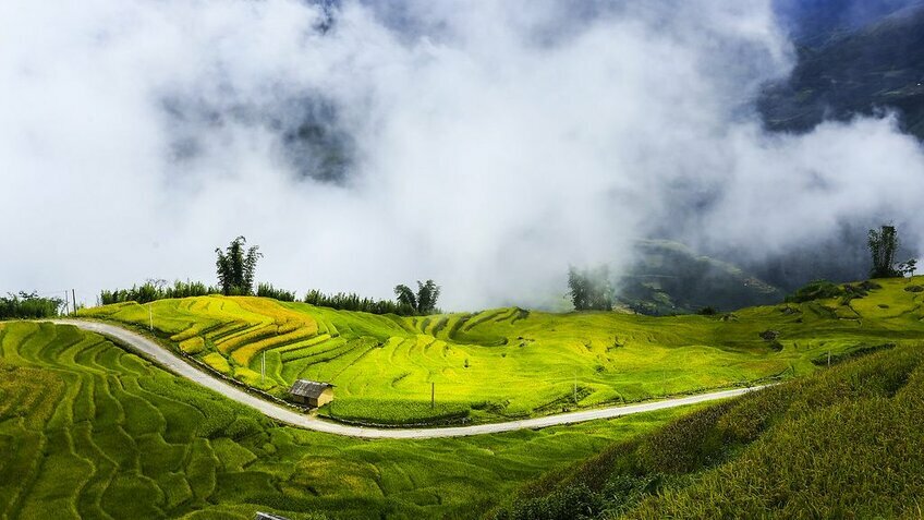 Du lịch Tết 2026: Hà Nội - Y Tý: Vùng Đất Mây Trời 2N1Đ