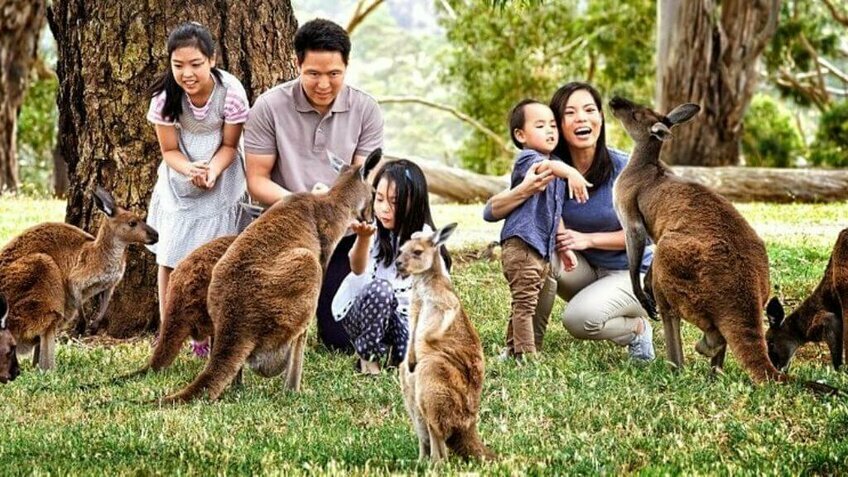 Du lịch Úc: Sydney - CanBerra - Melbourne - Dandenong 7N6Đ