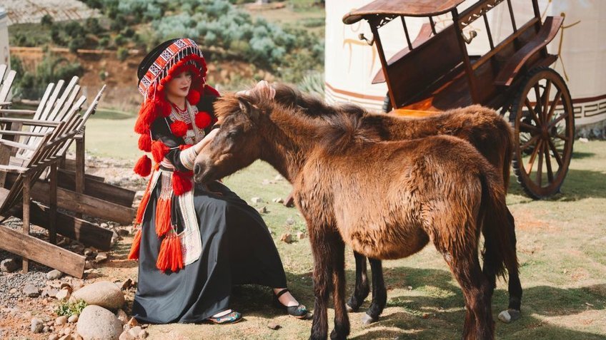 Tour Đà Lạt 4 Ngày 3 Đêm | Khám Phá Mongo Land - Langbiang - Thác Datanla | Vietpower Travel