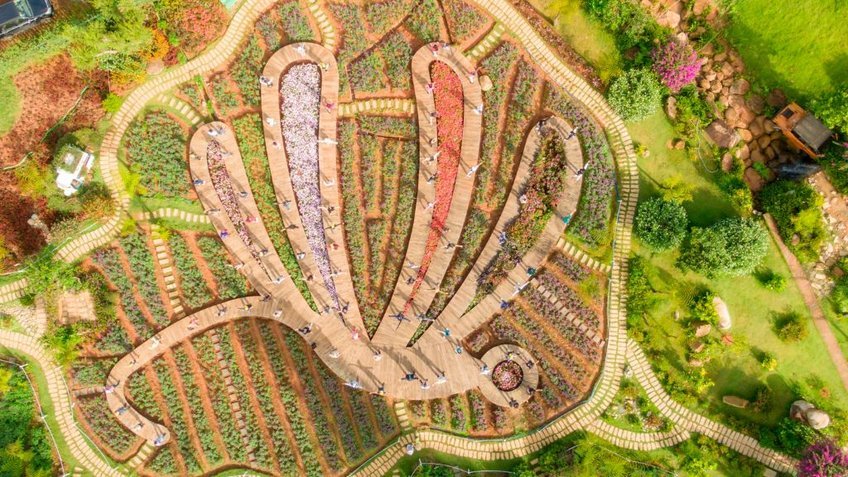 Tour Đà Lạt 4 Ngày 3 Đêm | Khám Phá Mongo Land - Langbiang - Thác Datanla | Vietpower Travel