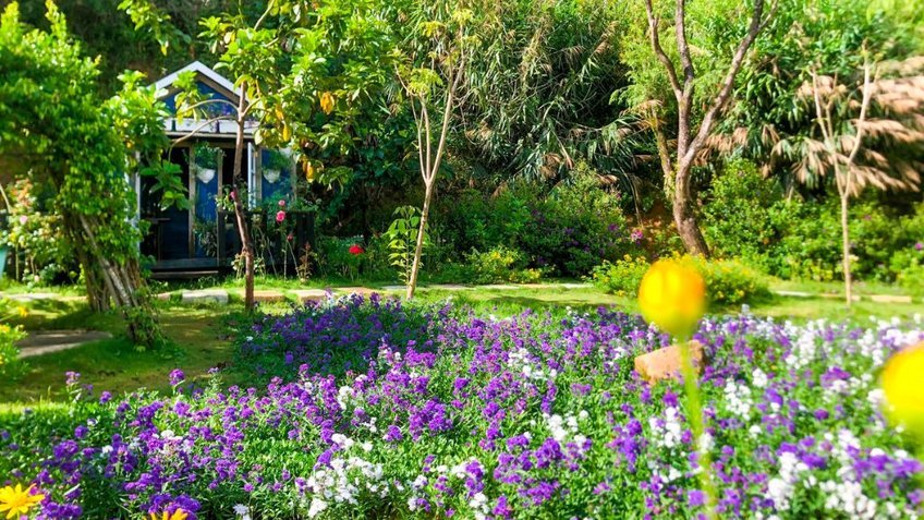 Tour Đà Lạt 4 Ngày 3 Đêm | Khám Phá Mongo Land - Langbiang - Thác Datanla | Vietpower Travel