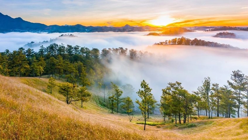 Tour Đà Lạt 4 Ngày 3 Đêm | Khám Phá Mongo Land - Langbiang - Thác Datanla | Vietpower Travel