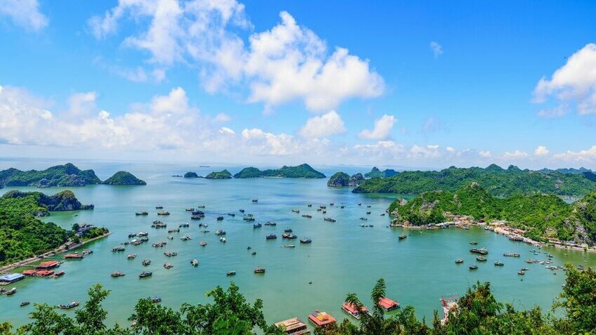 Du ngoạn Cát Bà 2N1Đ - Bản Giao Hưởng Đảo Xanh & Hành Trình Ẩm Thực Đất Cảng