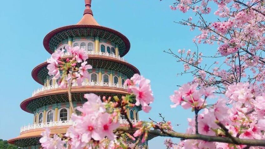 Tour Đài Loan 5 Ngày 4 Đêm Từ Hải Phòng | Đài Bắc - Đài Trung - Cao Hùng | Vietpower Travel