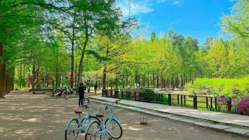 Du Ngoạn Hàn Quốc Mùa Hè: HCM - Seoul - Đảo Nami - Everland - Làng Cổ Eunpyeong 5N4Đ