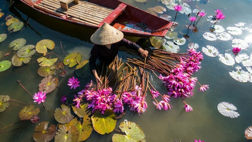 Du Ngoạn Miền Tây 4N3Đ: Cần Thơ - Sóc Trăng - Côn Đảo| Bay Vietnam Airlines Từ Hà Nội