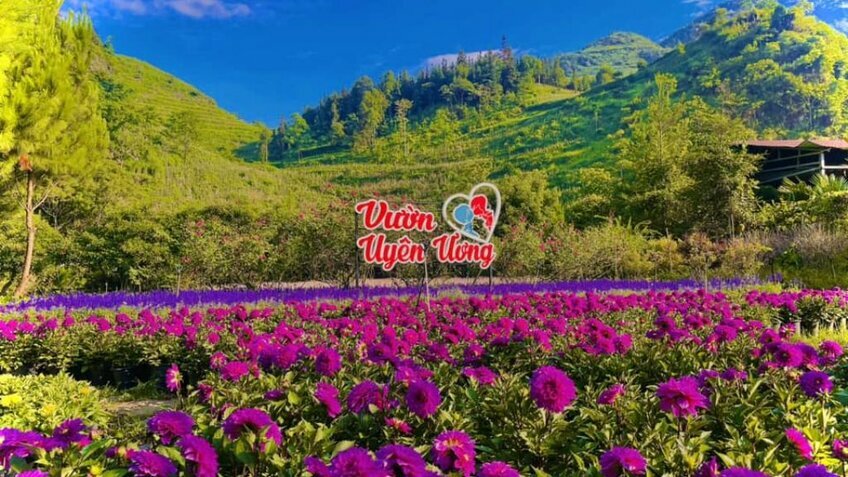 Du xuân 2026: Hà Nội - Bắc Hà - Y Tý