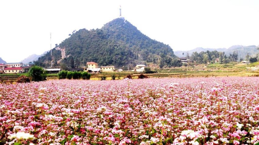 Tour Hà Giang Cao Bằng 4 Ngày 3 Đêm | Cao Nguyên Đá Đồng Văn - Thác Bản Giốc - Ngườm Ngao