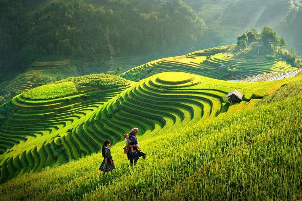 Tour Hà Giang Cao Bằng 4 Ngày 3 Đêm | Cao Nguyên Đá Đồng Văn - Thác Bản Giốc - Ngườm Ngao