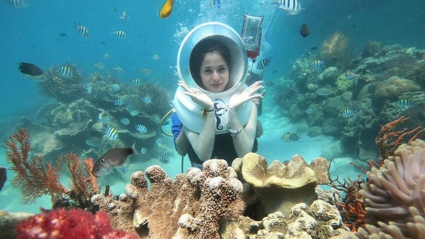 Tour Hà Nội – Đà Lạt – Nha Trang 5 Ngày 4 Đêm | Bay Thẳng | Khám Phá Cao Nguyên & Biển Xanh