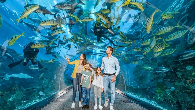 Dubai Mall Aquarium