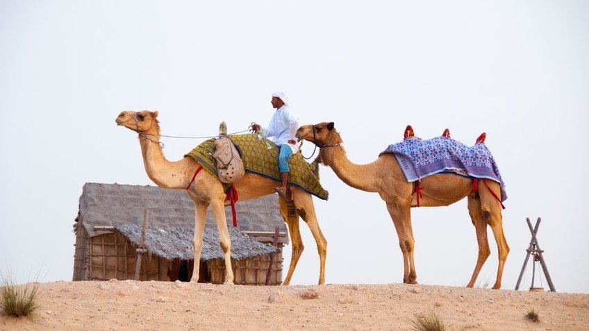 Tour Dubai Abu Dhabi 6 Ngày 5 Đêm | Safari Sa Mạc – Palm Jumeirah – Burj Khalifa