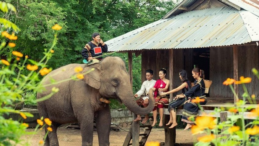 Tour Tây Nguyên 5 Ngày 4 Đêm Hà Nội – Pleiku – Kon Tum – Buôn Ma Thuột | Vietnam Airlines