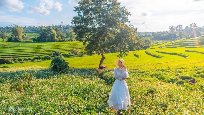 Tour Tây Nguyên 5 Ngày 4 Đêm Hà Nội – Pleiku – Kon Tum – Buôn Ma Thuột | Vietnam Airlines