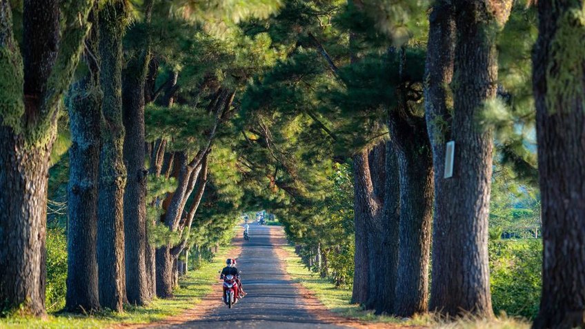 Tour Tây Nguyên 5 Ngày 4 Đêm Hà Nội – Pleiku – Kon Tum – Buôn Ma Thuột | Vietnam Airlines