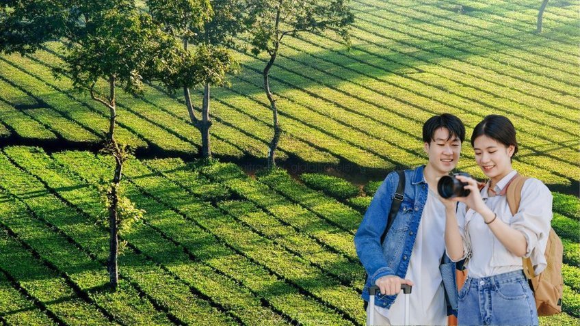 Tour Tây Nguyên 5 Ngày 4 Đêm Hà Nội – Pleiku – Kon Tum – Buôn Ma Thuột | Vietnam Airlines