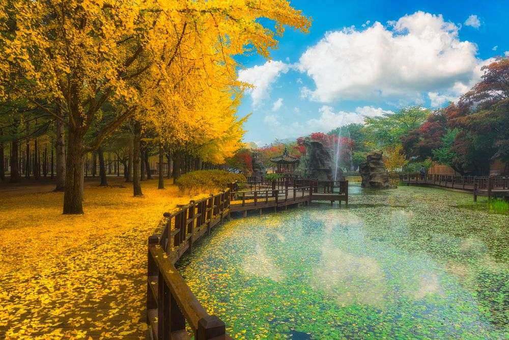 Tour Hàn Quốc 6 Ngày 5 Đêm Hà Nội - Busan - Seoul - Đảo Nami - Incheon | Bay Vietnam Airlines