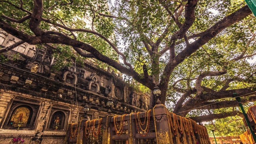 Hành Hương Tứ Thánh Tích Phật Giáo 9 Ngày 8 Đêm | Tour Ấn Độ – Nepal