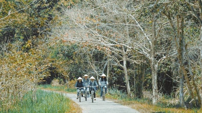Tour Tây Ninh - Nam Cát Tiên 2 Ngày 1 Đêm | Khám Phá Rừng Quốc Gia & Thác Trời | Vietpower Travel