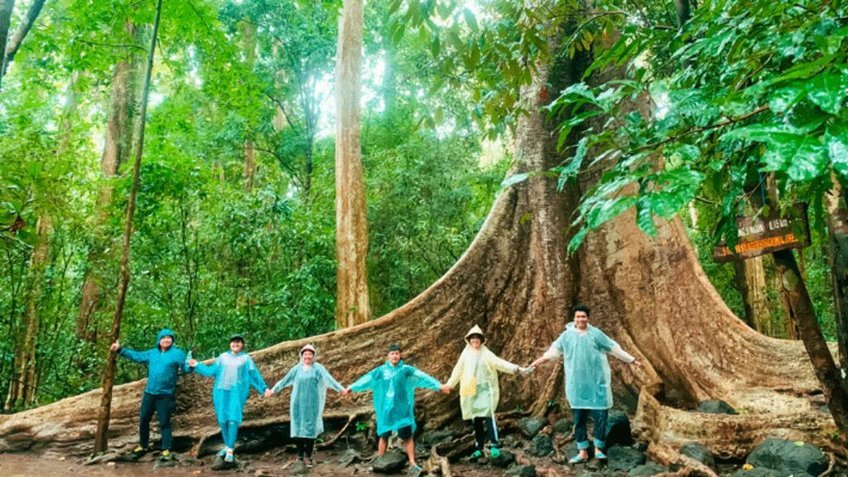 Tour Tây Ninh - Nam Cát Tiên 2 Ngày 1 Đêm | Khám Phá Rừng Quốc Gia & Thác Trời | Vietpower Travel