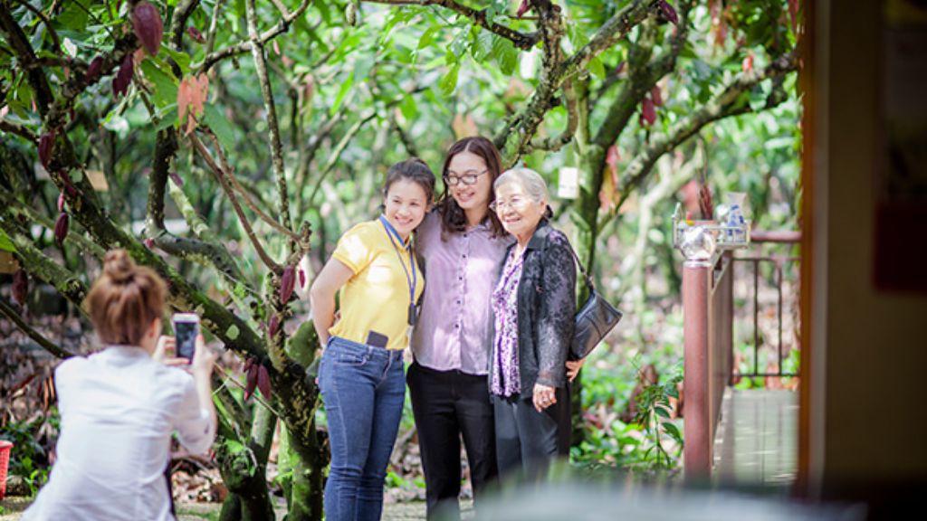 Vườn cacao Trọng Đức