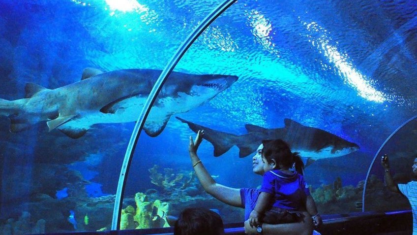 Tour Malaysia 4 Ngày 3 Đêm Từ TP.HCM | Kuala Lumpur – Genting | Vietpower Travel