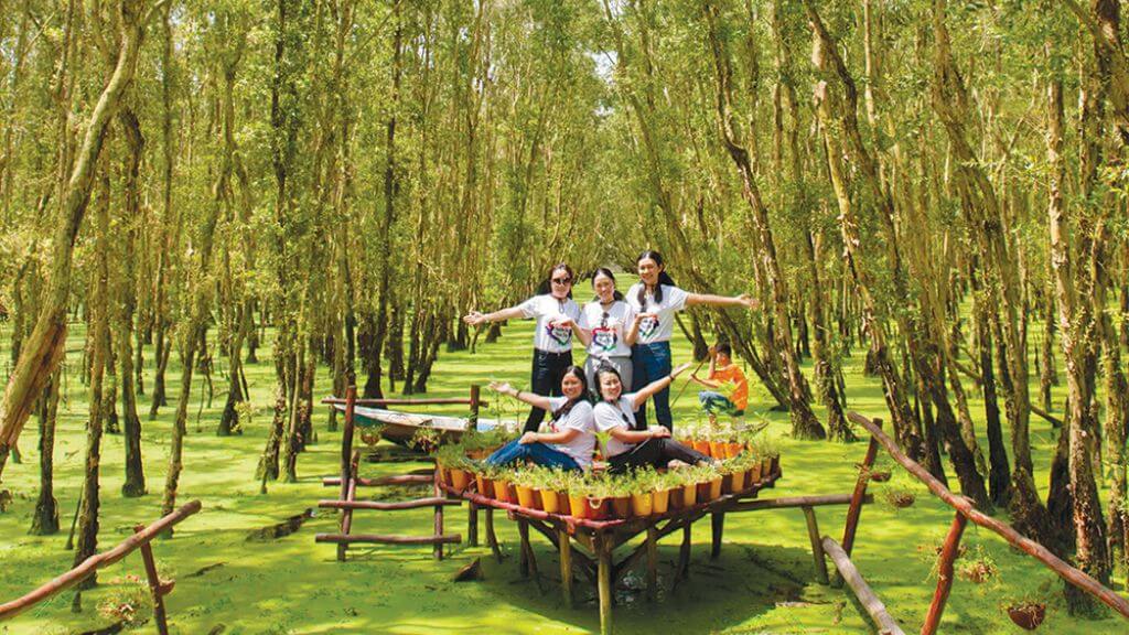 Rừng tràm Trà Sư – hệ sinh thái ngập nước tiêu biểu miền Tây