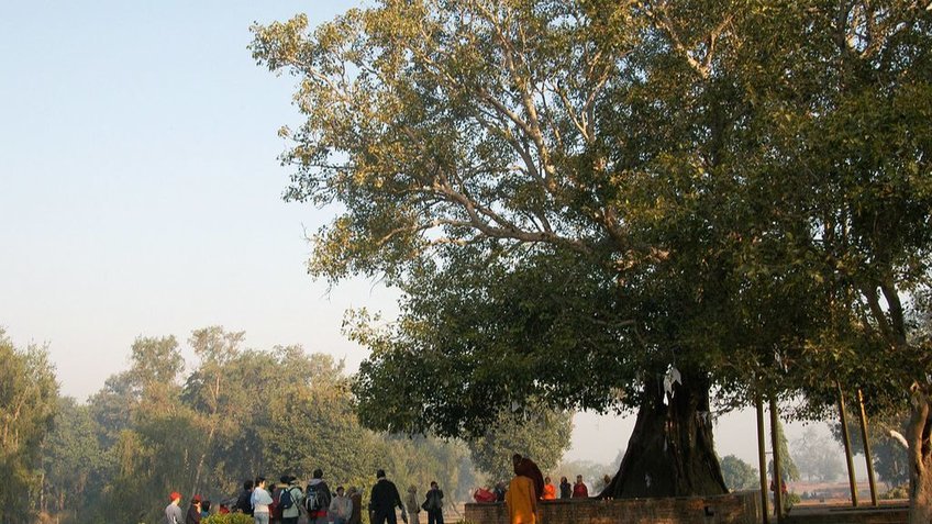 Tour Hành Trình Theo Dấu Chân Phật – Tứ Động Tâm 11 Ngày 10 Đêm | Hành Hương Ấn Độ Nepal