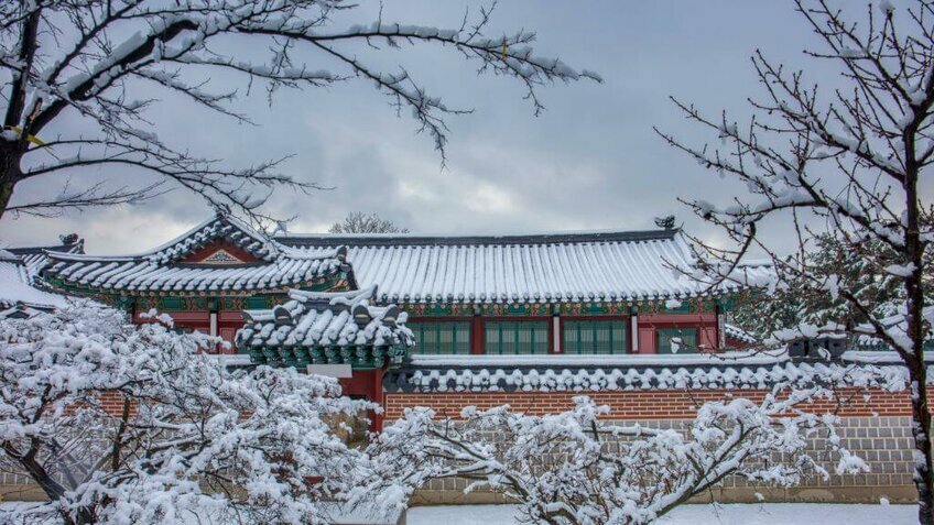 Tour Hàn Quốc 5 Ngày 4 Đêm | Seoul - Đảo Nami - Everland | Bay Vietnam Airlines
