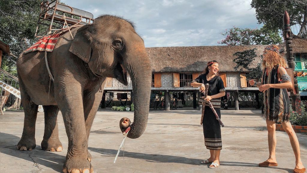 Giao lưu với voi tại Buôn Đôn trong tour du lịch Tây Nguyên