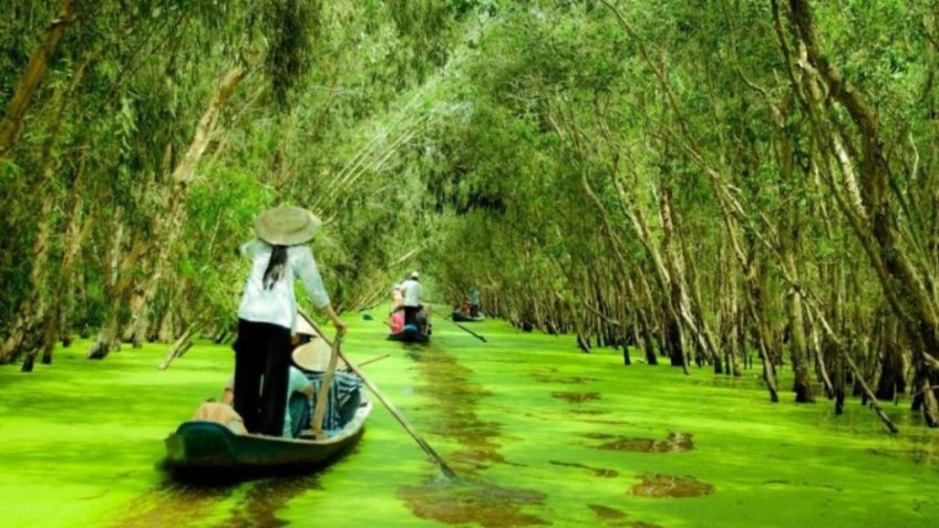 Hồ Chí Minh - Cái Bè - Cần Thơ - Châu Đốc - Bạc Liêu - Cà Mau 4N3Đ