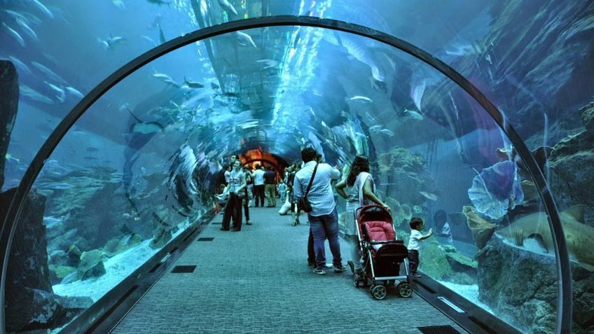 Tour Dubai Abu Dhabi 5 Ngày 4 Đêm | Khám Phá Sa Mạc Safari & Sheikh Zayed