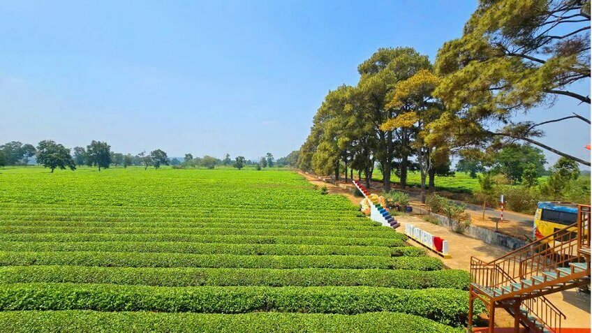 Tour Hồ Chí Minh – Hồ Tà Đùng – Buôn Ma Thuột 3 Ngày 2 Đêm | Khám Phá Tây Nguyên