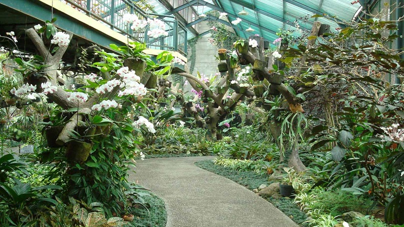Tour Indonesia Jakarta 4 Ngày 3 Đêm | Khám Phá Thủ Đô Jakarta Cùng Vietpower