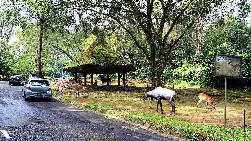 Tour Indonesia Jakarta 4 Ngày 3 Đêm | Khám Phá Thủ Đô Jakarta Cùng Vietpower