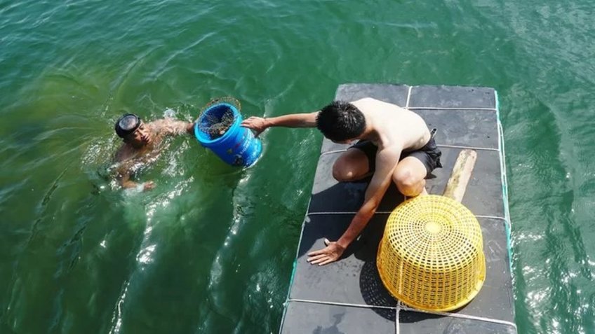 Tour Nam Du 4N3D Từ Hồ Chí Minh | Khám Phá Thiên Đường Biển Đảo Kiên Giang