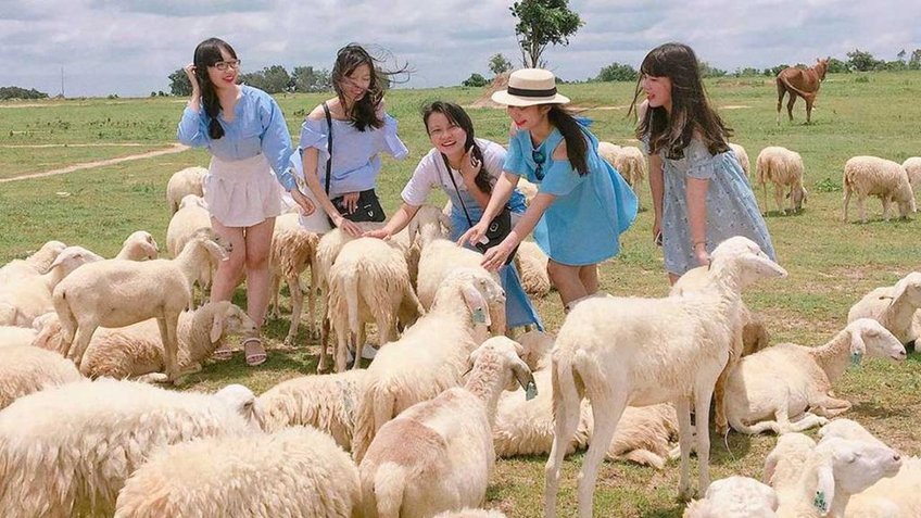 Tour Hồ Chí Minh Vũng Tàu 2 Ngày 1 Đêm | Nông Trại Cừu & Marina