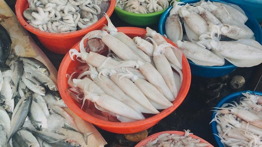 Tour Hồ Chí Minh Vũng Tàu 2 Ngày 1 Đêm | Nông Trại Cừu & Marina
