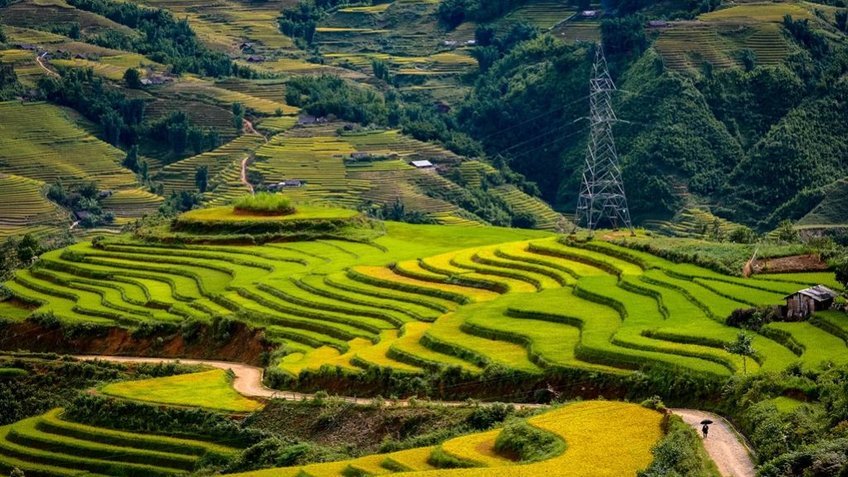 Tour Y Tý 4 Ngày 3 Đêm Từ TP.HCM | Săn Mây Ngải Thầu - Lũng Pô - Mường Hum