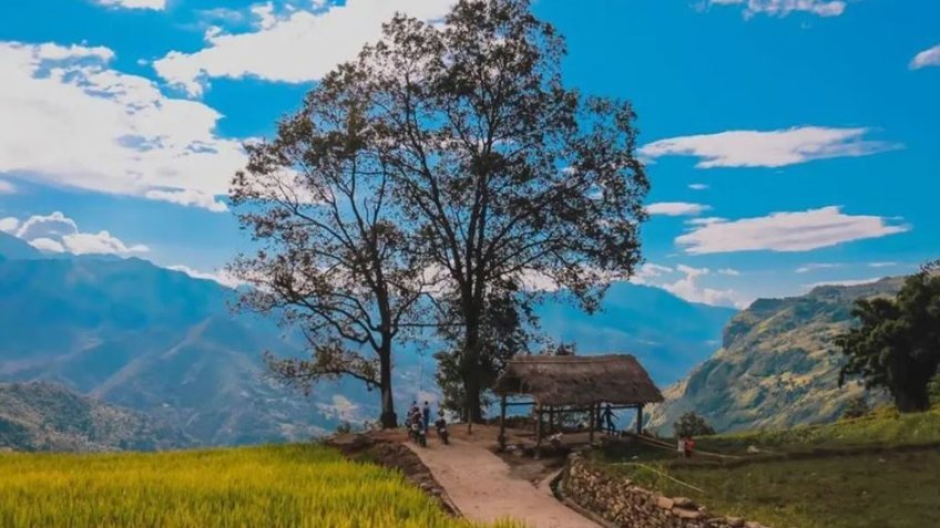 Tour Y Tý 4 Ngày 3 Đêm Từ TP.HCM | Săn Mây Ngải Thầu - Lũng Pô - Mường Hum