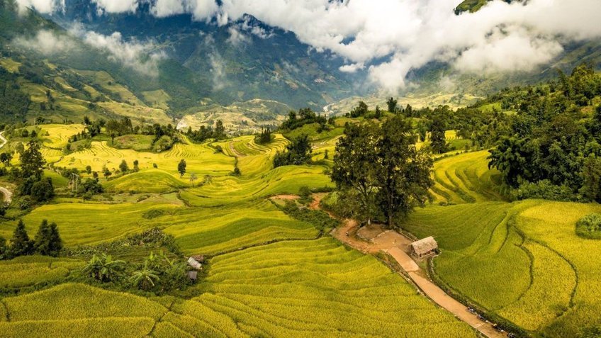 Tour Y Tý 4 Ngày 3 Đêm Từ TP.HCM | Săn Mây Ngải Thầu - Lũng Pô - Mường Hum