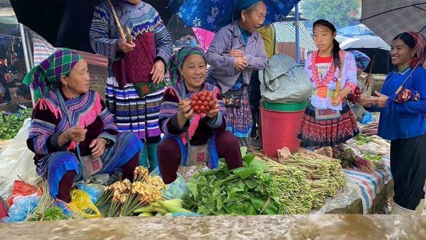 Tour Y Tý 4 Ngày 3 Đêm Từ TP.HCM | Săn Mây Ngải Thầu - Lũng Pô - Mường Hum