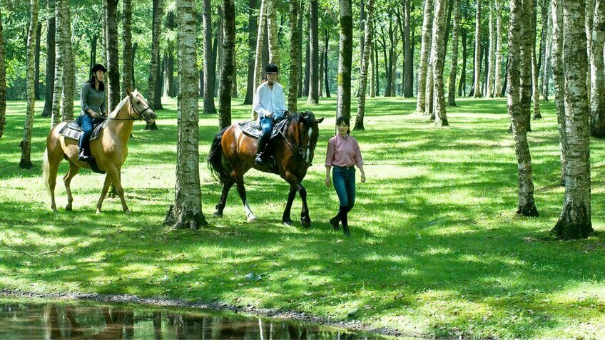 Hokkaido Tự Túc 5N4Đ – Hành Trình Đẳng Cấp & Linh Hoạt (Chưa Gồm VMB)